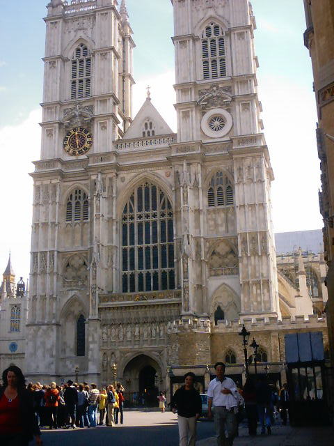 Vedi immagine