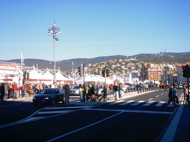 Vedi immagine