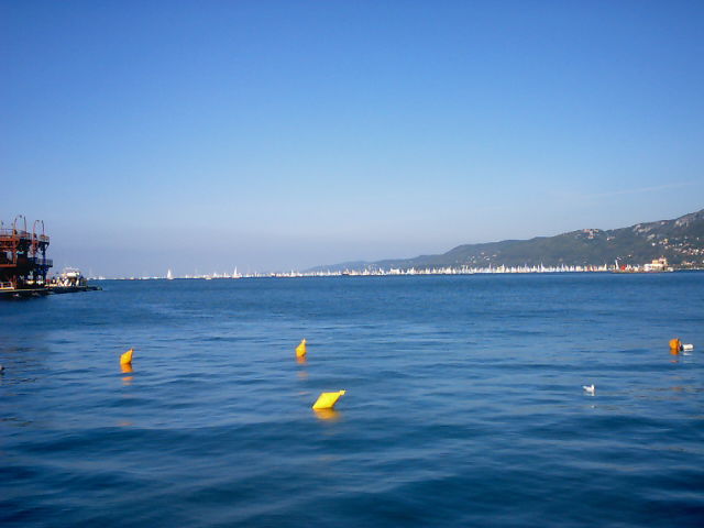 Vedi immagine