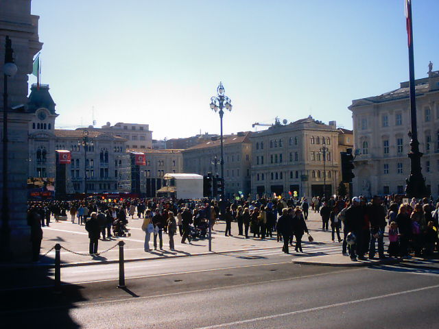 Vedi immagine