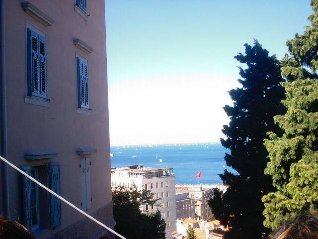 Vedi immagine