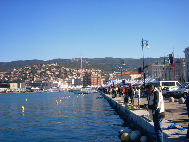Vedi immagine