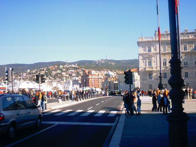 Vedi immagine