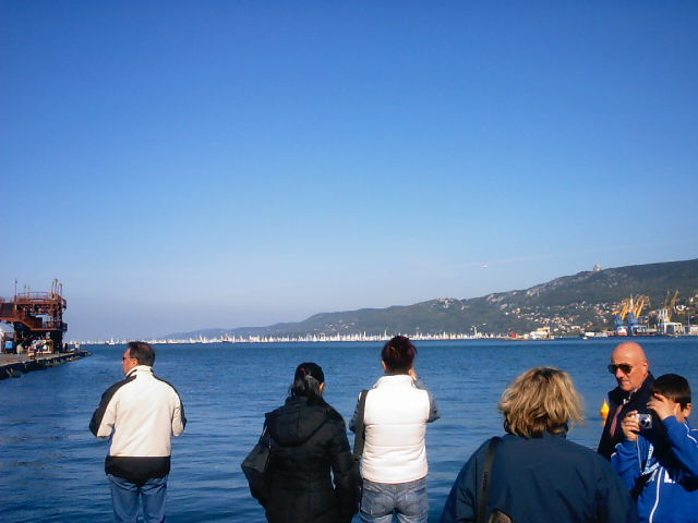 Vedi immagine